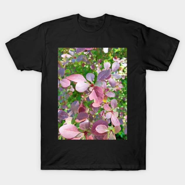 Lovely Flowers T-Shirt by Peaceful Space AS